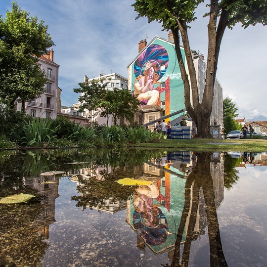 eau reflet fresque street art colorée mur immeuble et tronc d'arbre