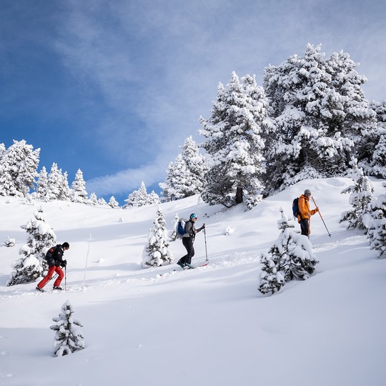 Montée ski de randonnée itinaraire balisé Chamrousse