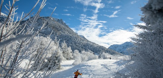 Skieur de fond domaine Souillet Alpe du Grand Serre