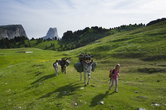 Randonnée plateaux avec âne