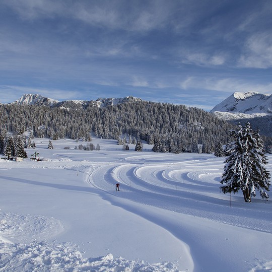Pistes de ski de Fond plateau Arcelle Chamrousse