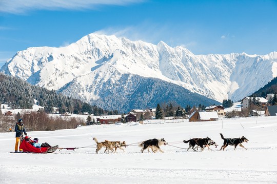 Alpe du Grand Serre - Chiens de traîneau © Olivier HUMEAU