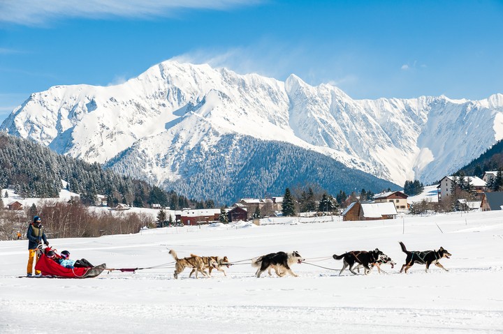Alpe du Grand Serre - Chiens de traîneau © Olivier HUMEAU