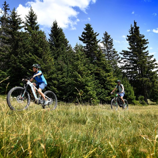 VTT forêt groupe cyclistes