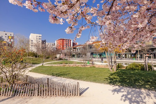 Caserne de bonne au printemps avec arbre fleuri