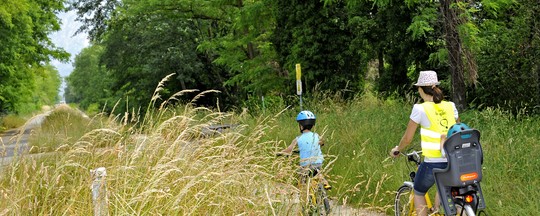 Metrovélo famille piste cyclable champ