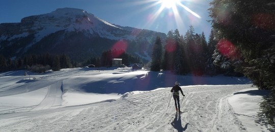 Skieur skating Col de Prte vue Chamechaude