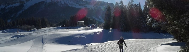 Skieur skating Col de Prte vue Chamechaude