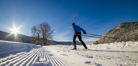 Chartreuse skieur ski nordique skating