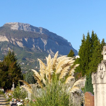 Les plus belles tombes du cimetière Saint Roch Du 2/11/2024 au 15/3/2025