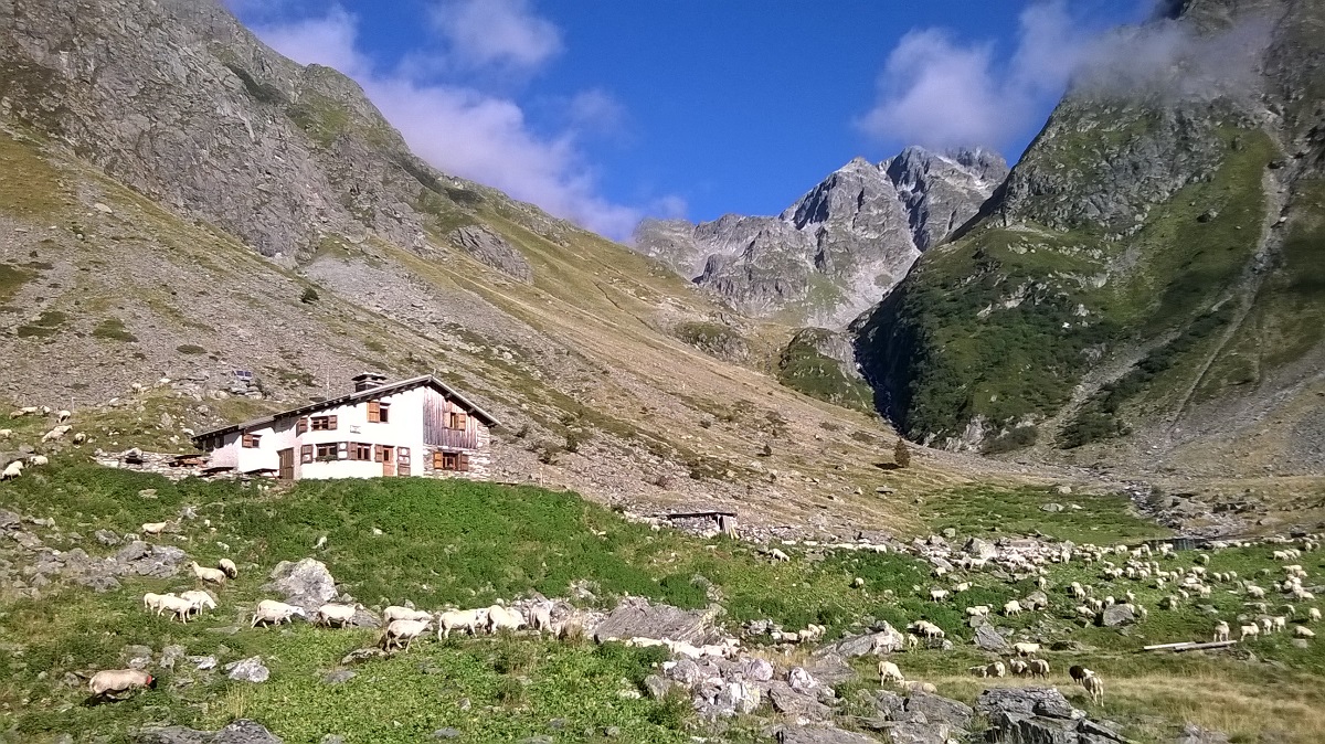 Combe Madame mountain pasture gîte - Grenoble France