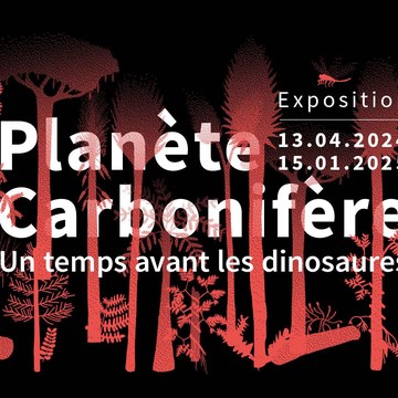 Planète Carbonifère - Un temps avant les dinosaures Du 13/4/2024 au 15/1/2025