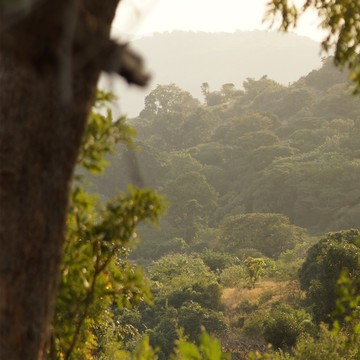 Table ronde - Défendre les minorités culturelles et protéger la nature : un combat commun