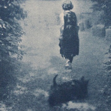 Déambulation : Des paysages, des cyanotypes