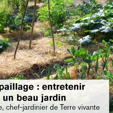 Compost et paillage : entretenir son sol pour un beau jardin