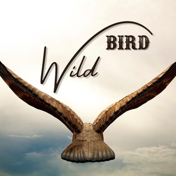 La chanson anglophone de Wild Bird