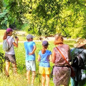 Les sorties du vivant - Oiseaux des parcs et jardins