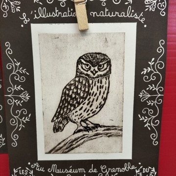 Découverte de la linogravure